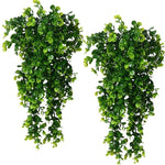 Eucalyptus Hanging Vine