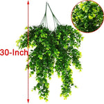 Eucalyptus Hanging Vine