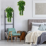 Eucalyptus Hanging Vine