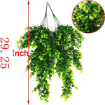 Eucalyptus Hanging Vine