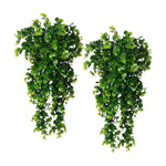 Two artificial eucalyptus hanging vines on a plain background